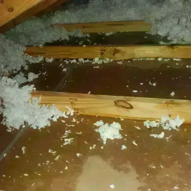 Attic Water Damage in Mission, KS