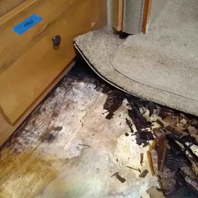 Wood Floor Water Damage in Mission, KS